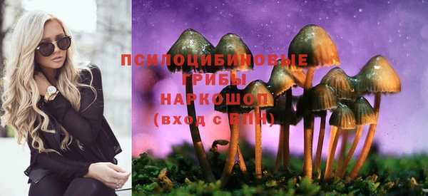 PSILOCYBIN Кинешма