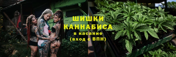 PSILOCYBIN Кинешма