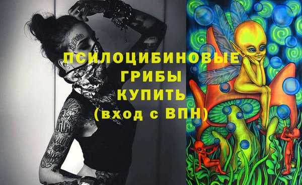 PSILOCYBIN Кинешма