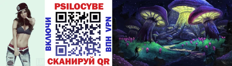 Псилоцибиновые грибы Cubensis  Купить  Енисейск 